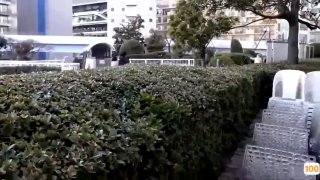约极品高颜值高挑女神